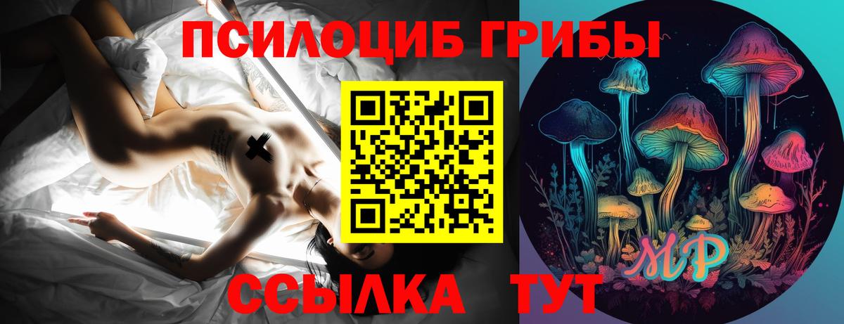 Псилоцибиновые грибы мицелий Березники
